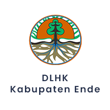 DLHK